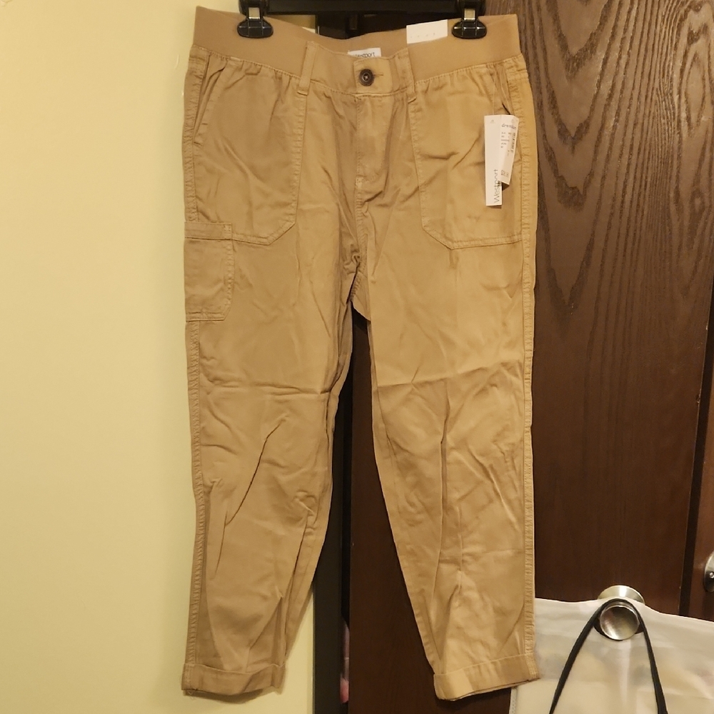 Dressbarn Tan Cargo Pants with Relaxed Fit